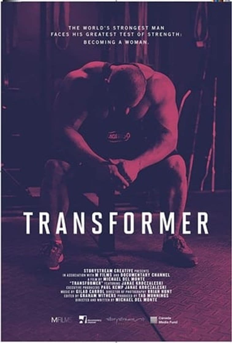 Película Transformer