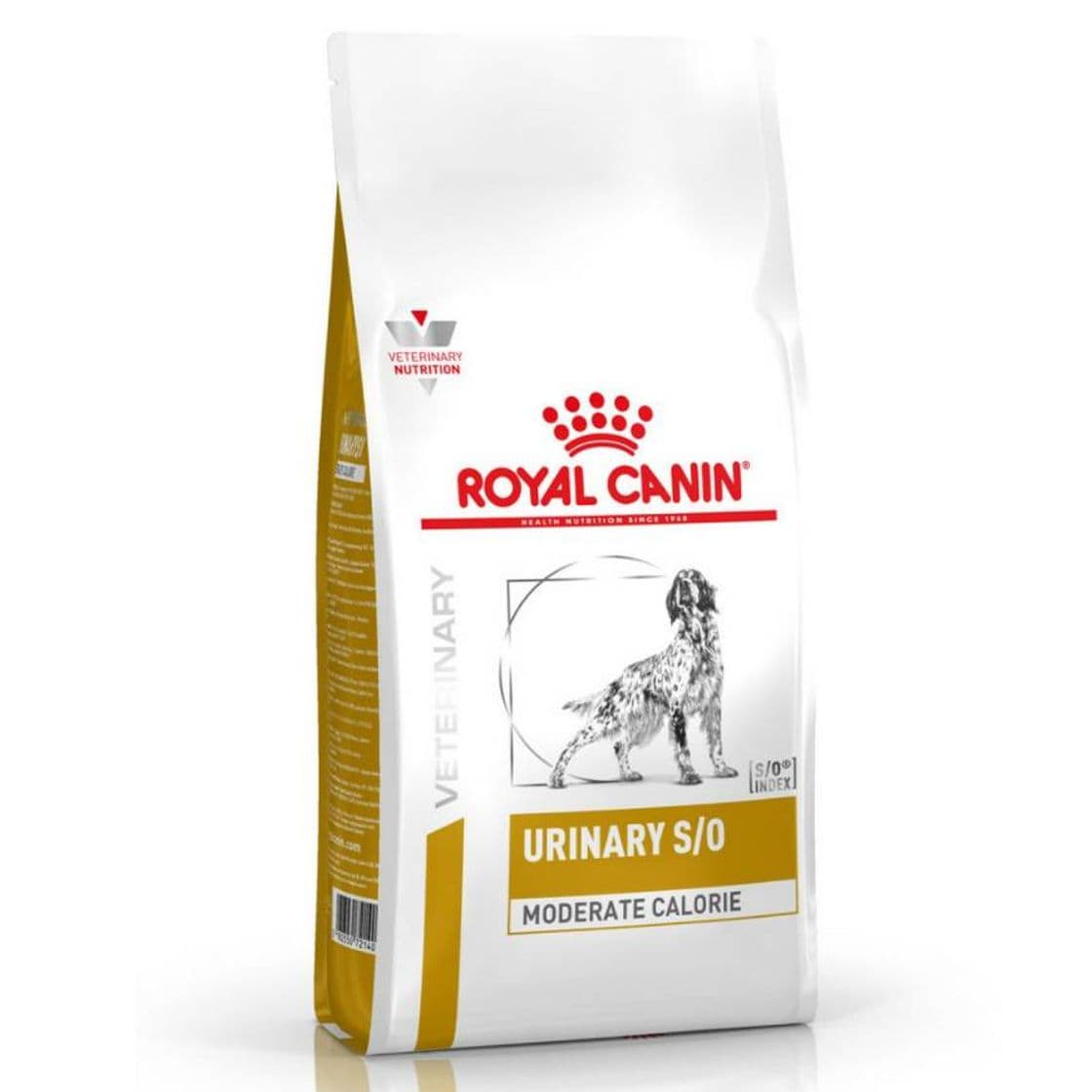 Moda Pienso royal canin 