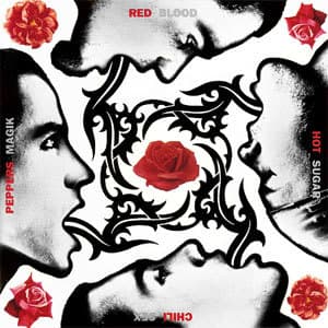 Moda Rede hot chili Peppers - Blood sugar sex magik