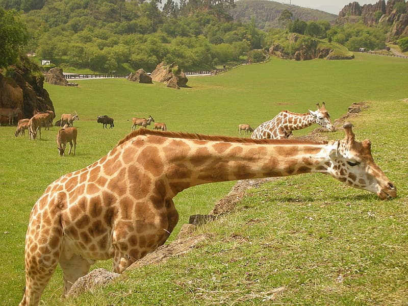 Lugar Parque de la Naturaleza de Cabárceno