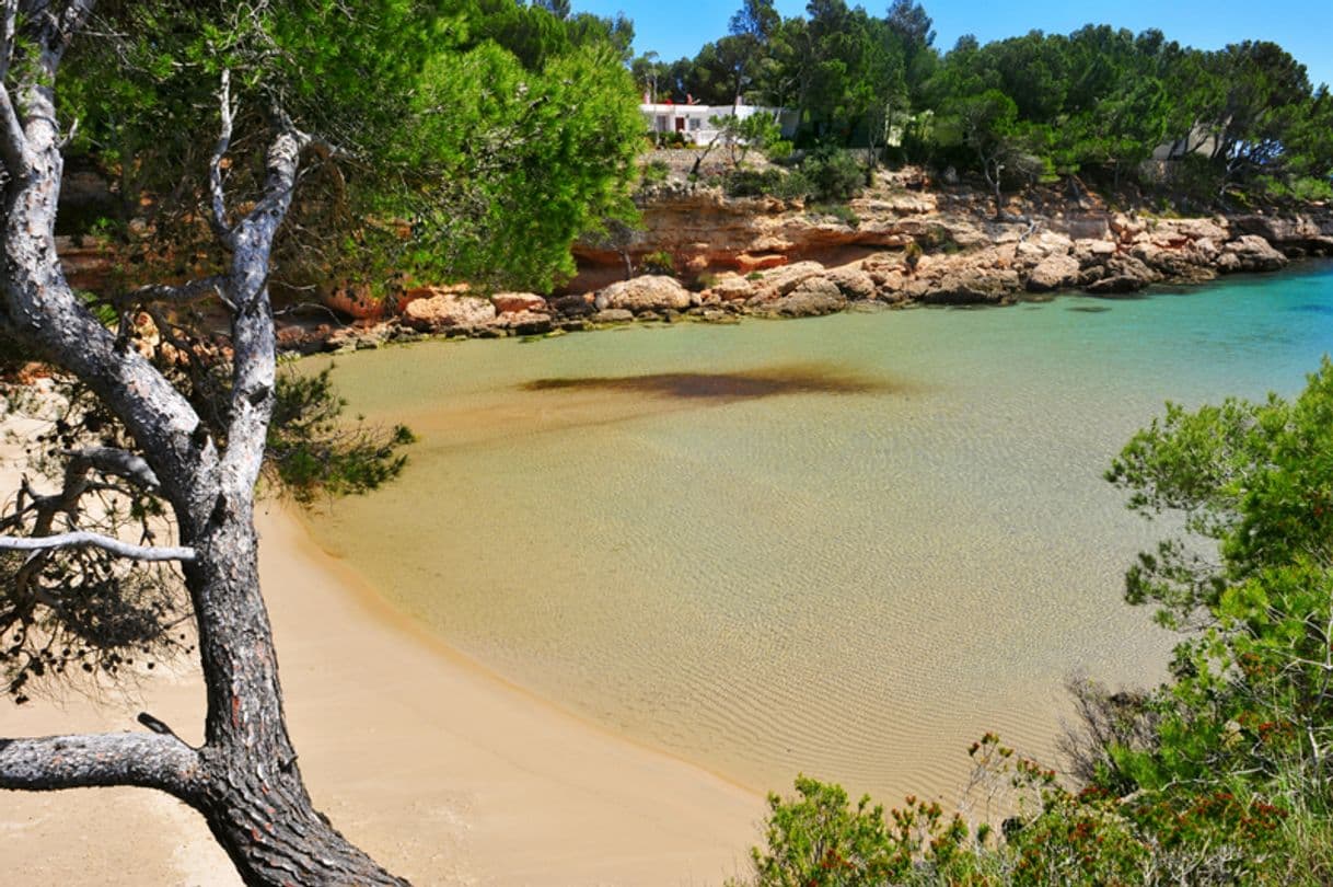 Lugar Ametlla Del Mar