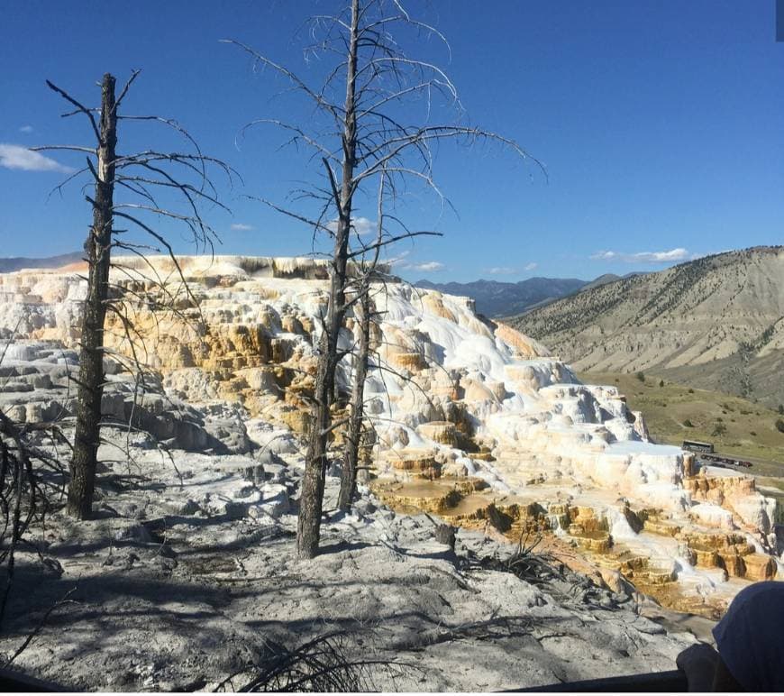 Lugar Yellowstone National Park