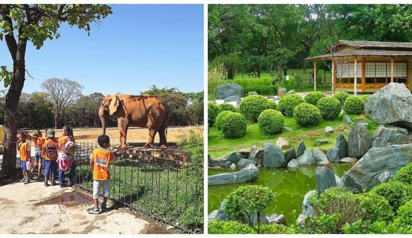 Lugar Zoológico e Jardim Botânico de BH