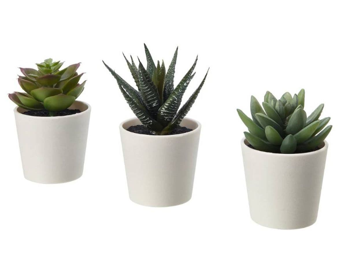 Moda Set de tres plantas artificiales🌱