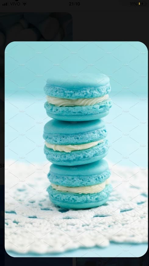 Fashion Macaroon