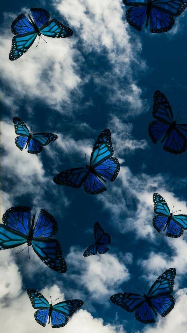 Moda butterfly wallpaper 💙