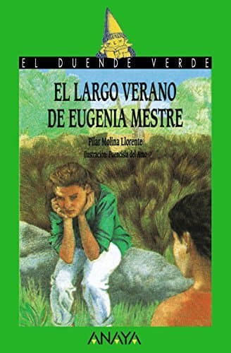 Libro El largo verano de Eugenia Mestre