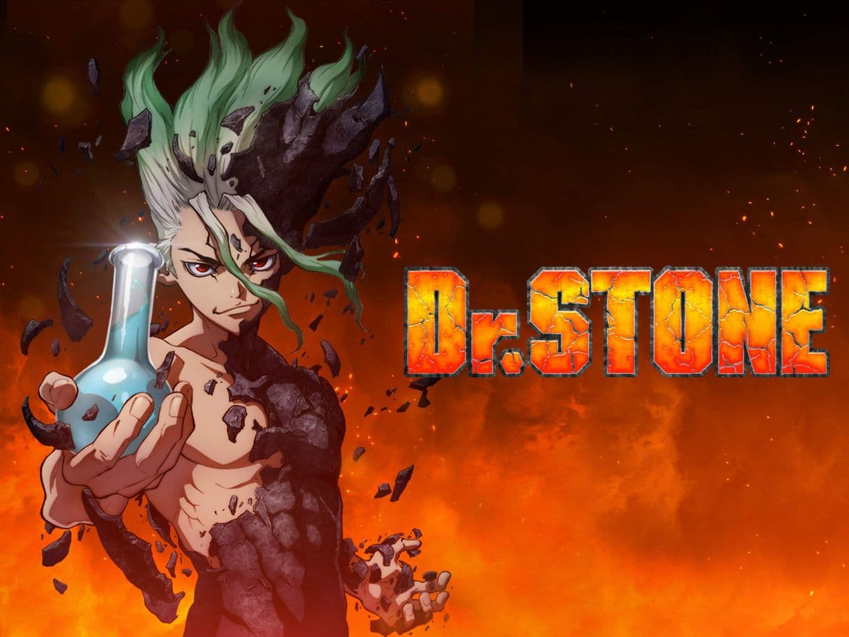 Moda Dr. Stone