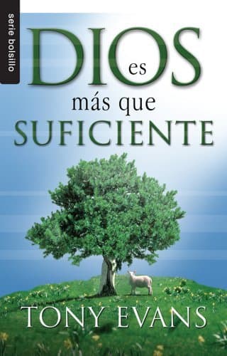 Book Dios es mas que Suficiente