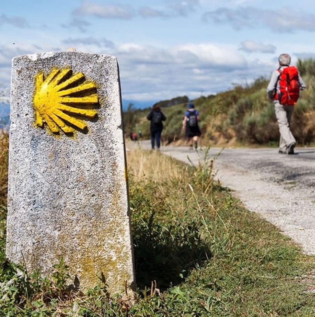 Moda Hacer el camino de Santiago