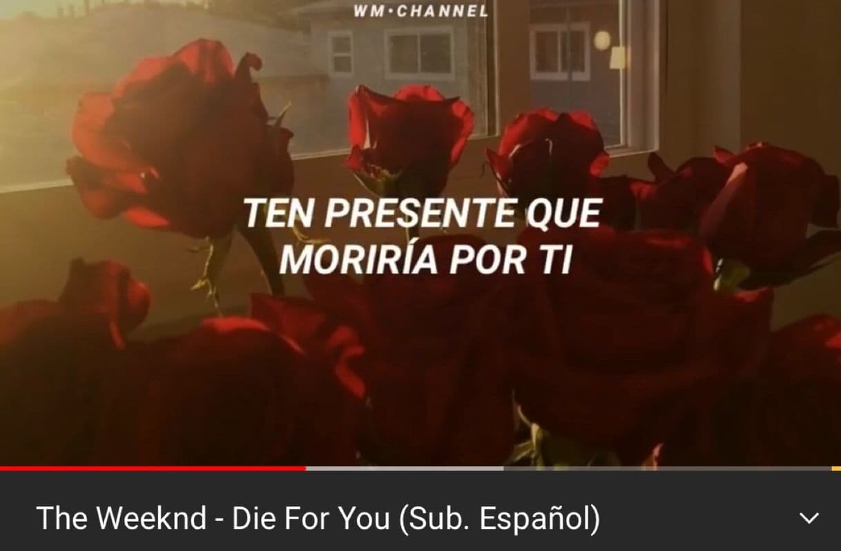 Music Die For You -The Weeknd [ESPAÑOL].