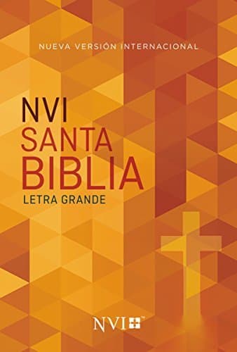 Libro Santa Biblia NVI