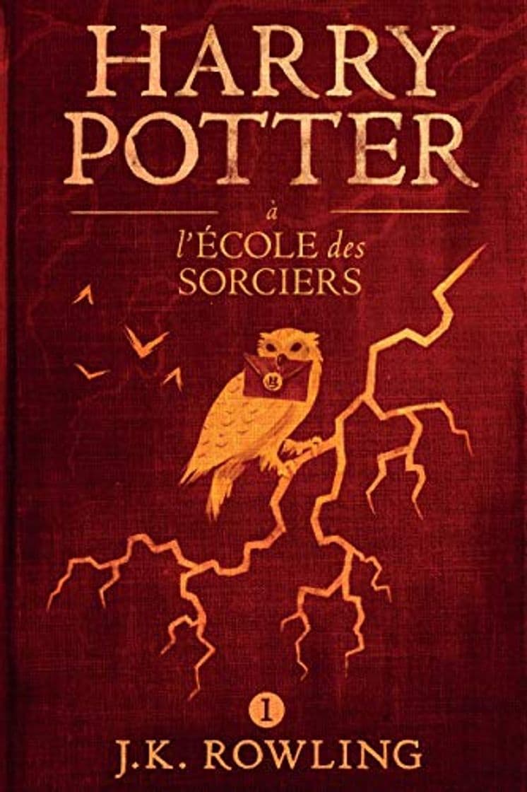 Libro Harry Potter à L'école des Sorciers