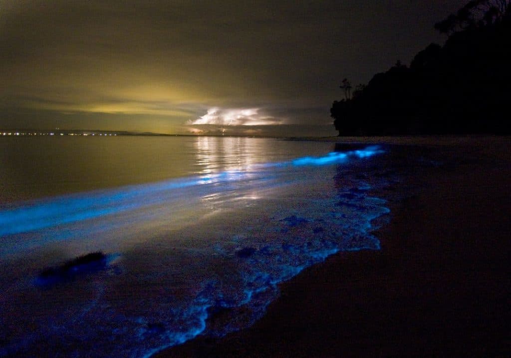 Moda Las playas bioluminiscentes de Holbox