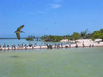 Lugar Isla Pájaros