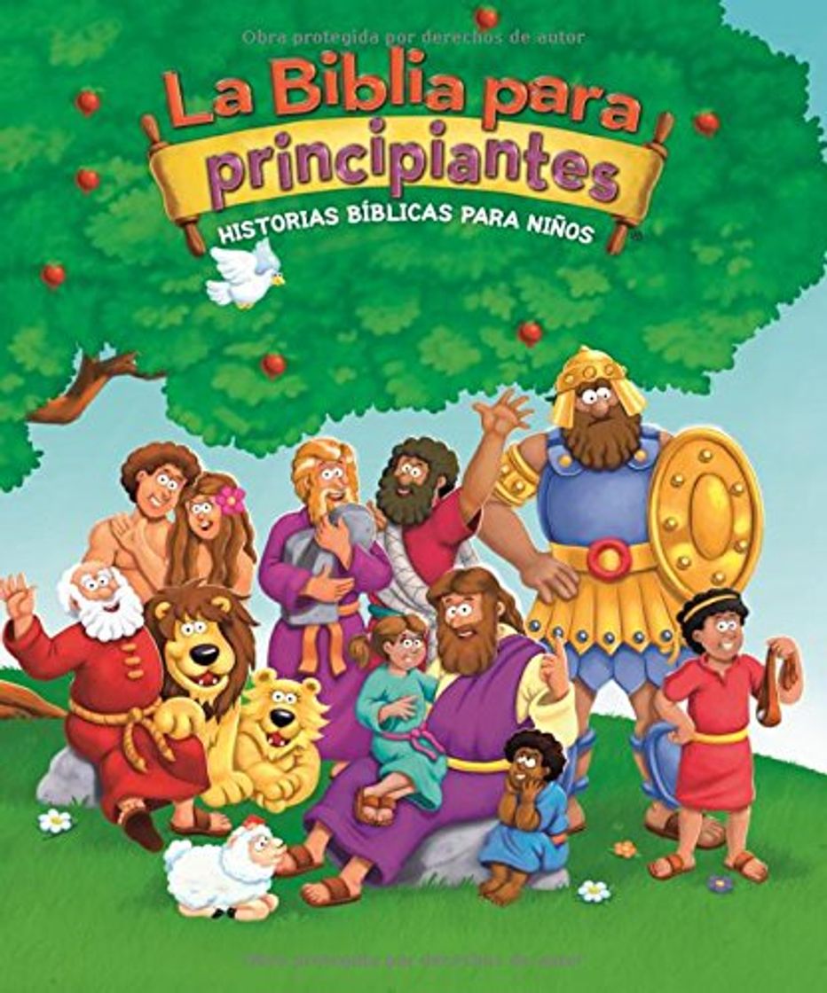 Libro La Biblia Para Principiantes: Historias Bíblicas Para Niños