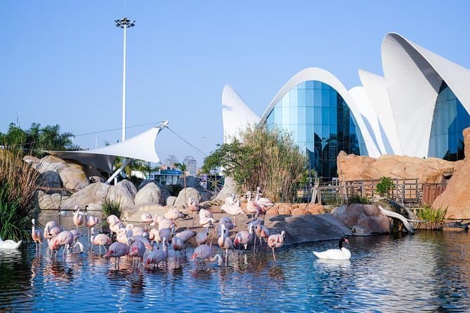 Lugar Oceanográfic