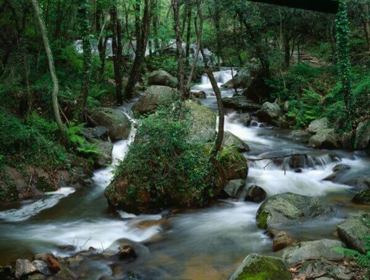 Lugar El Montseny