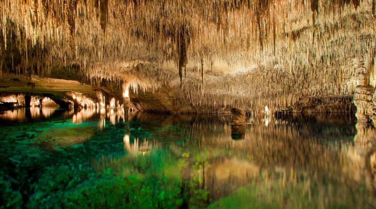 Lugar Cuevas del Drach