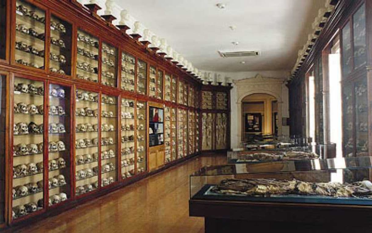 Lugar Museo Canario