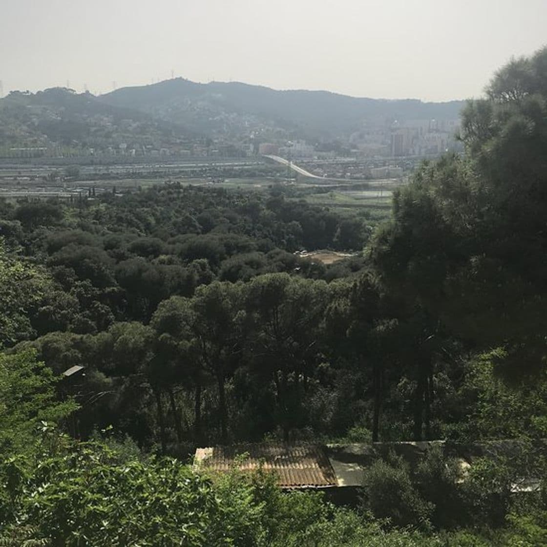 Lugar Mirador de Font de l'Alzina