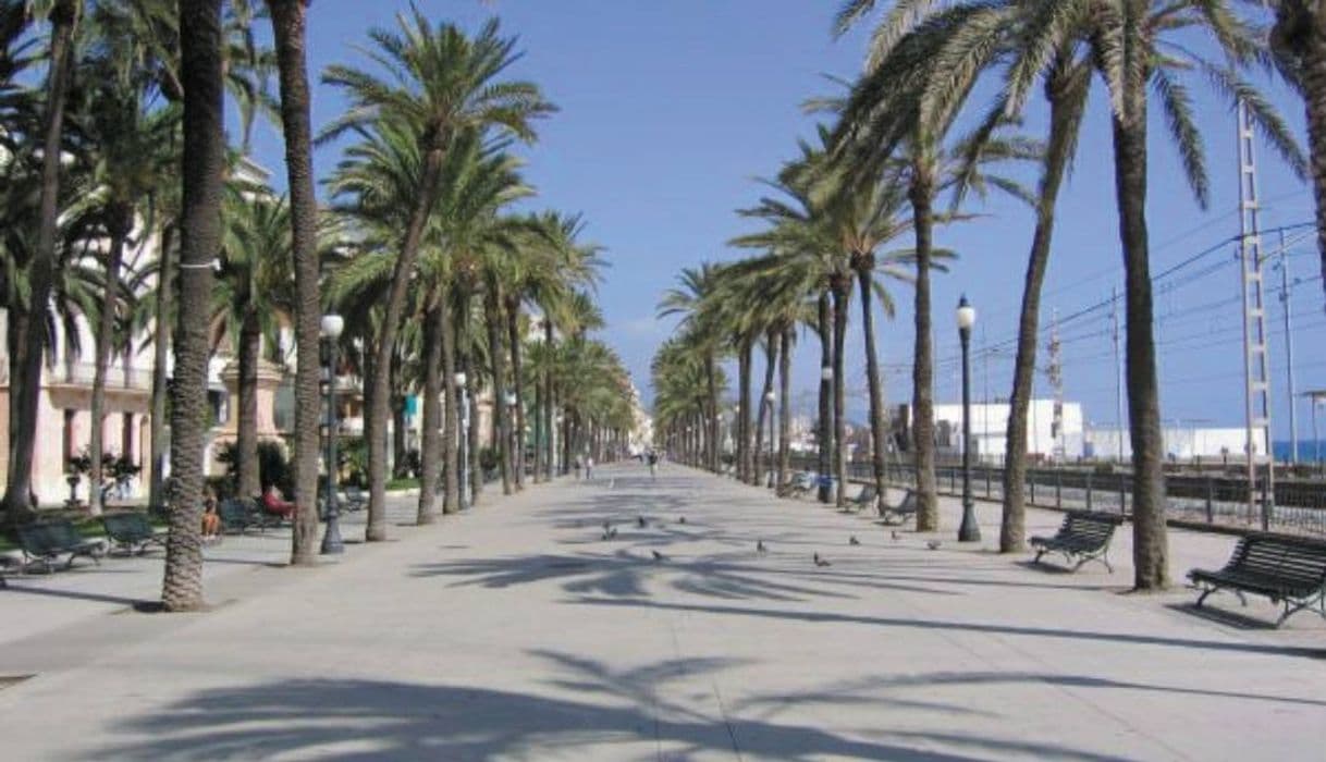 Lugar Passeig de la Rambla