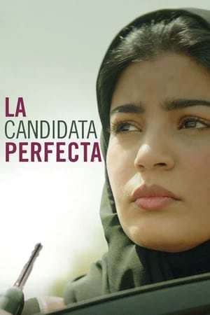 Movie The Perfect Candidate