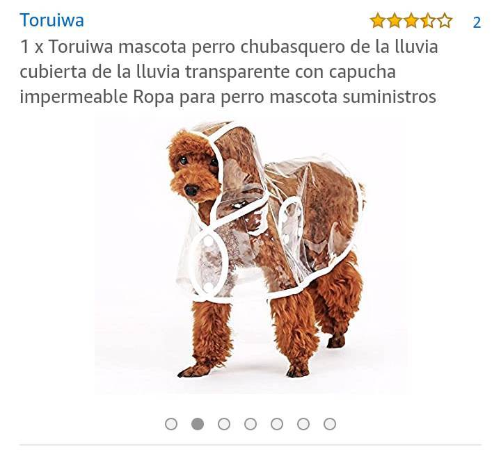 Moda Impermeable para perro! 