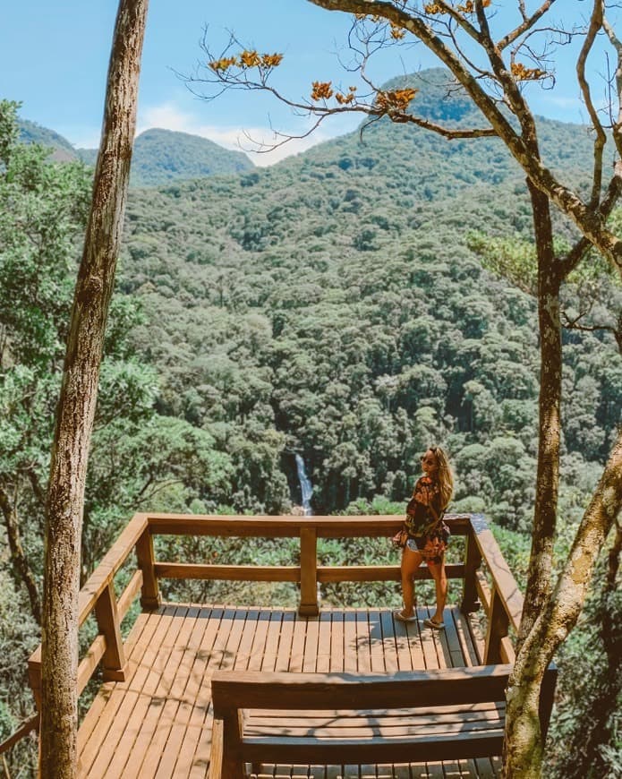 Place Tijuca National Park