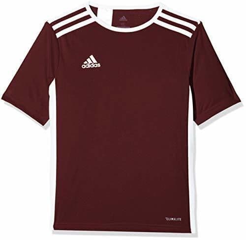 Producto adidas Entrada 18 JSY Jersey de Fútbol de Manga Corta, Hombre, Marrón