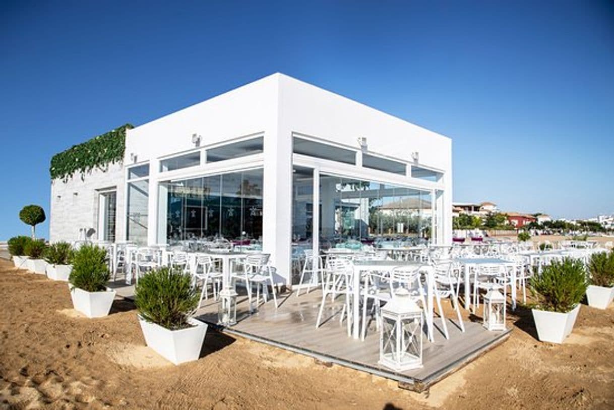 Restaurantes UNO Beach Club