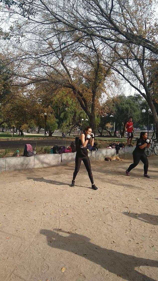 Lugar Parque Balmaceda