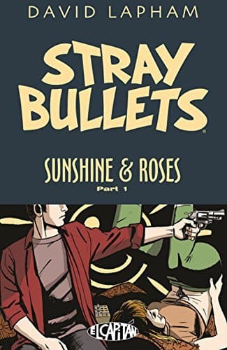 Libro Stray Bullets