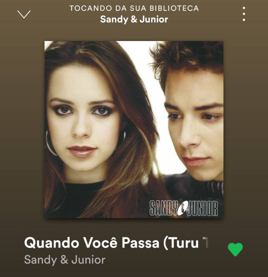 Canción SANDY E JUNIOR