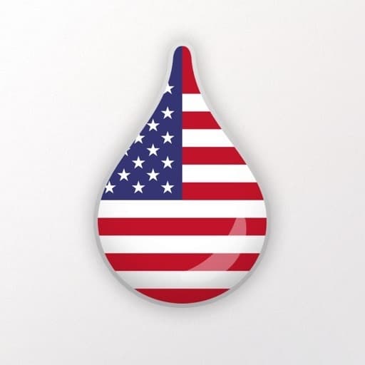 App Learn American English - Drops