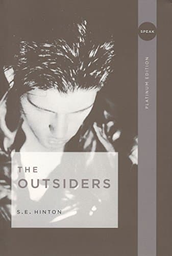 Libro The Outsiders