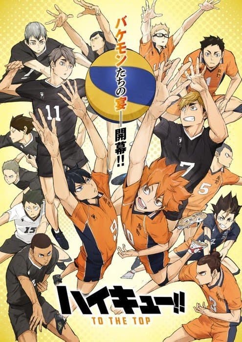 Serie Haikyu!!