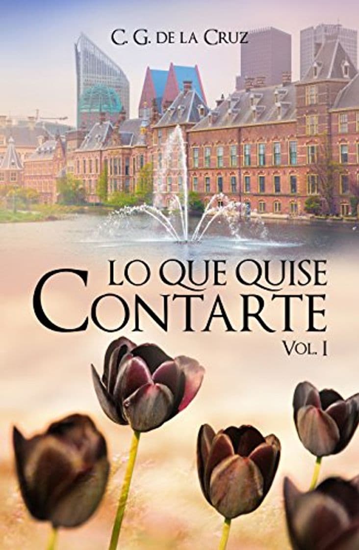 Book Lo que quise contarte