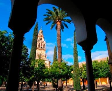 Lugar Patio de los Naranjos