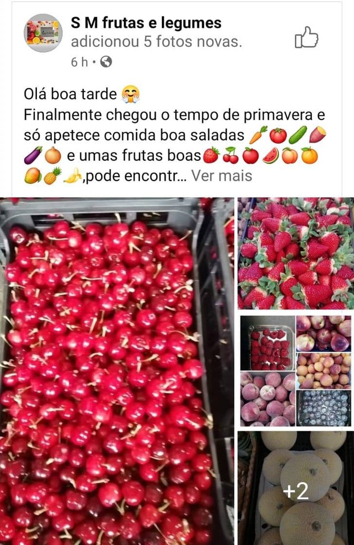 Moda S M frutas e legumes