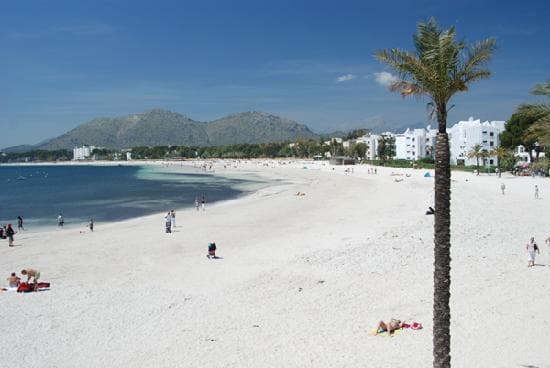 Place Puerto de Alcudia