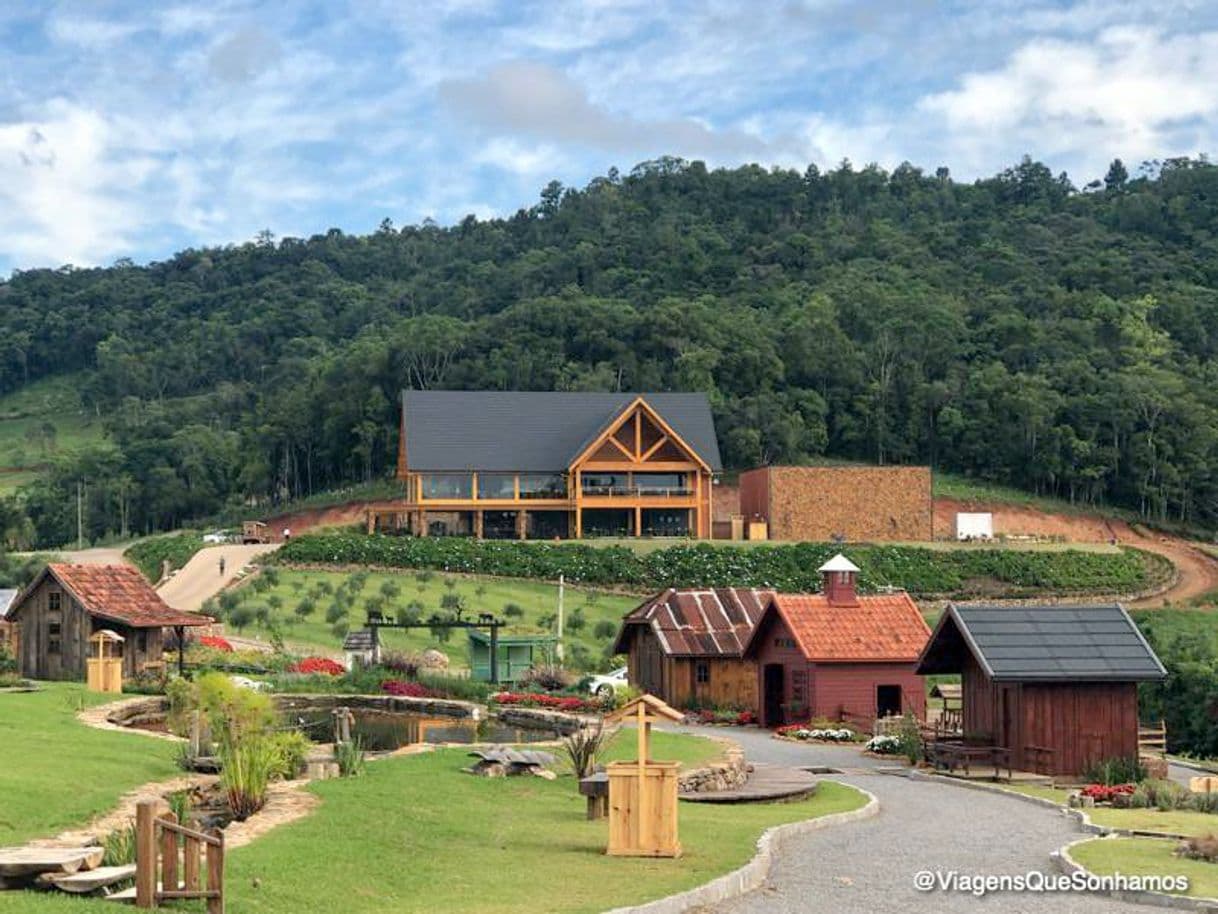 Lugar Olivas de Gramado