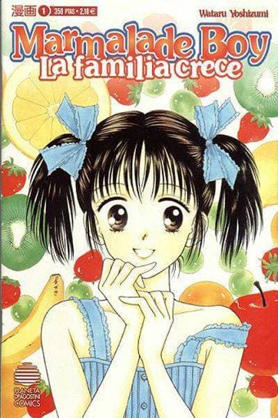 Book Marmalade Boy