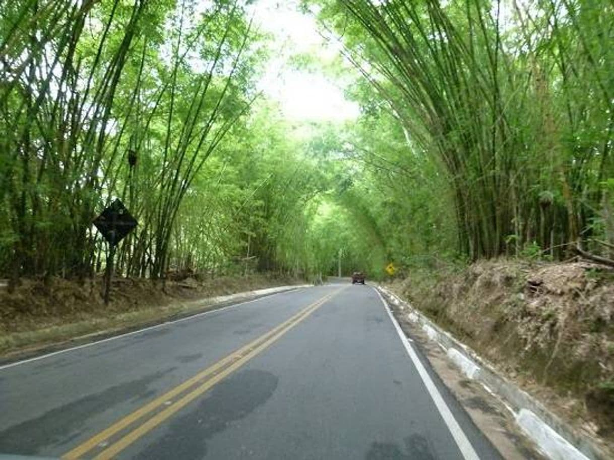 Moda Serra de Meruoca