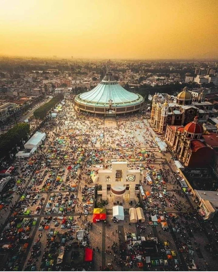 Lugar Basílica de Guadalupe