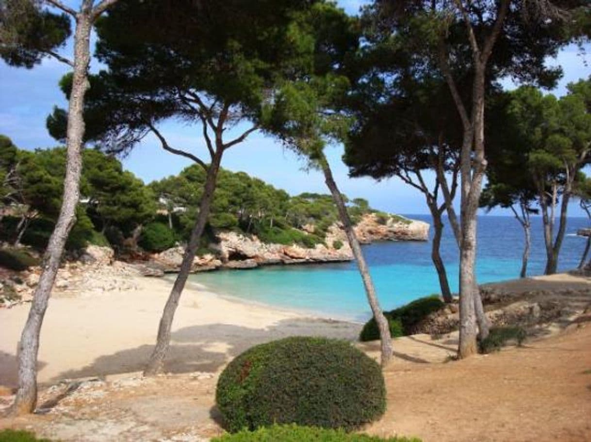 Lugar cala d'or beach