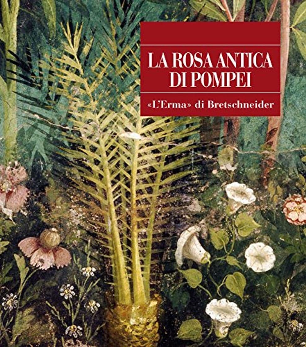 Libro La rosa antica di Pompei