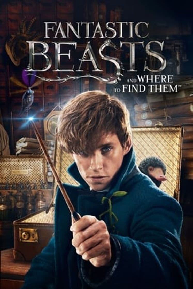 Película Fantastic Beasts and Where to Find Them