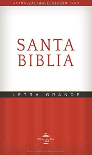 Libro Rvr60 Santa Biblia -Edicion Economica Letra Grande