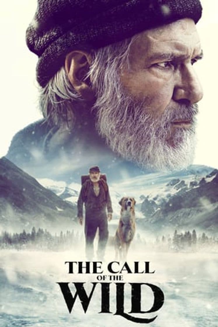 Película The Call of the Wild